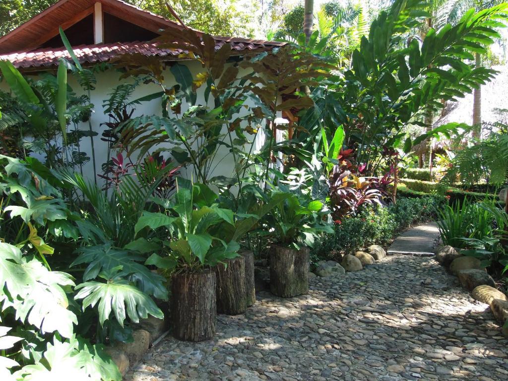 Hotel La Palapa 4*