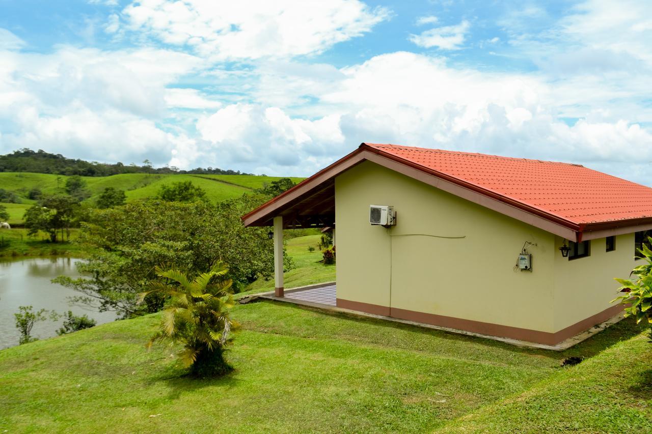 Hotel Termales Del Bosque & Hot Springs