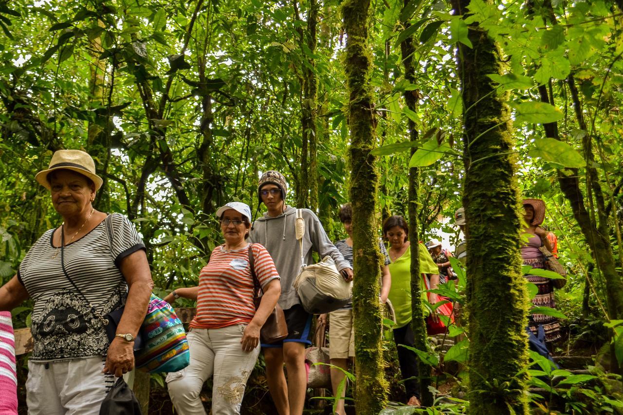 Termales Del Bosque & Hot Springs 3*