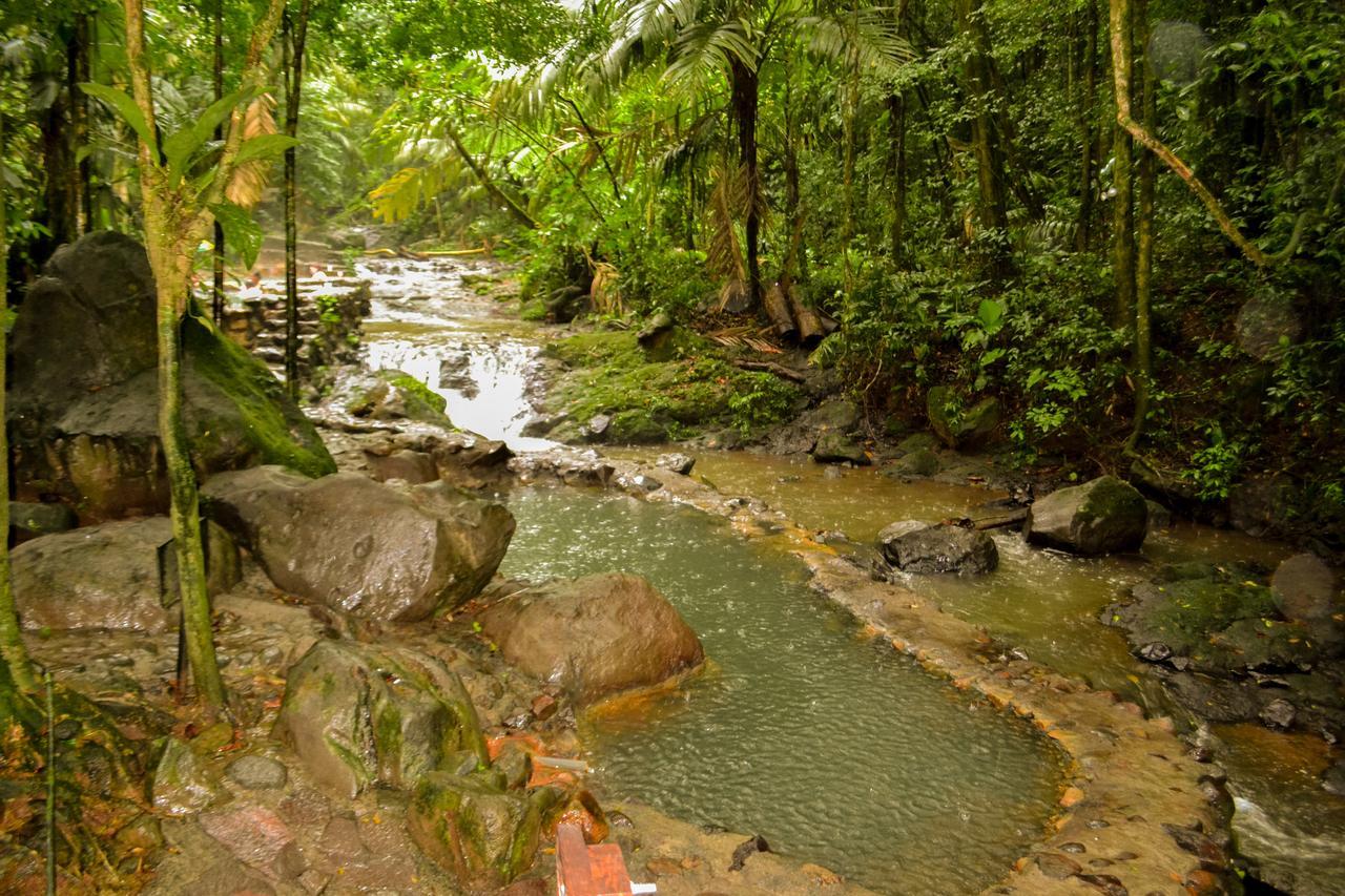 Termales Del Bosque & Hot Springs Hotel