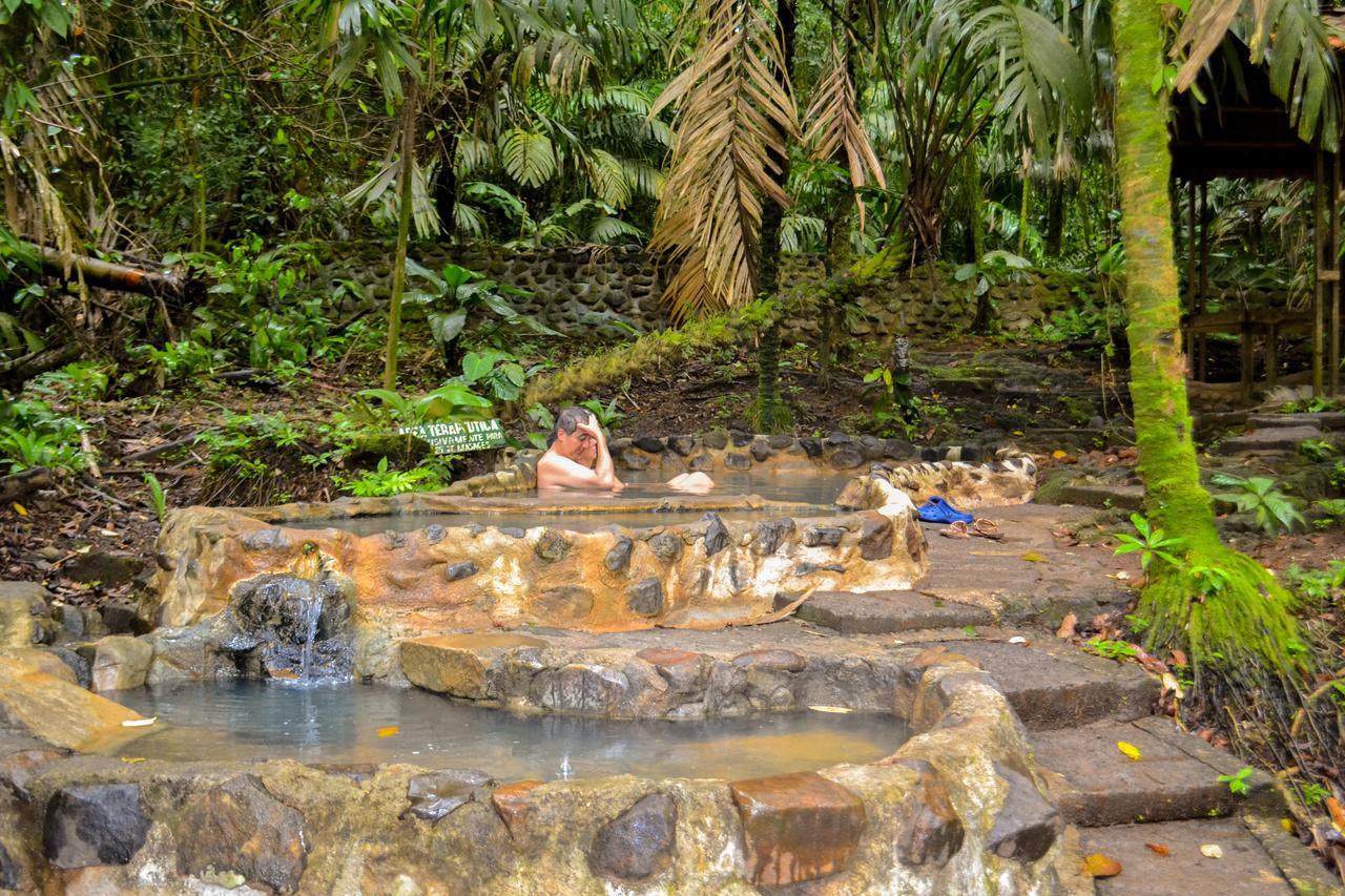 Termales Del Bosque & Hot Springs Hotel La Marina