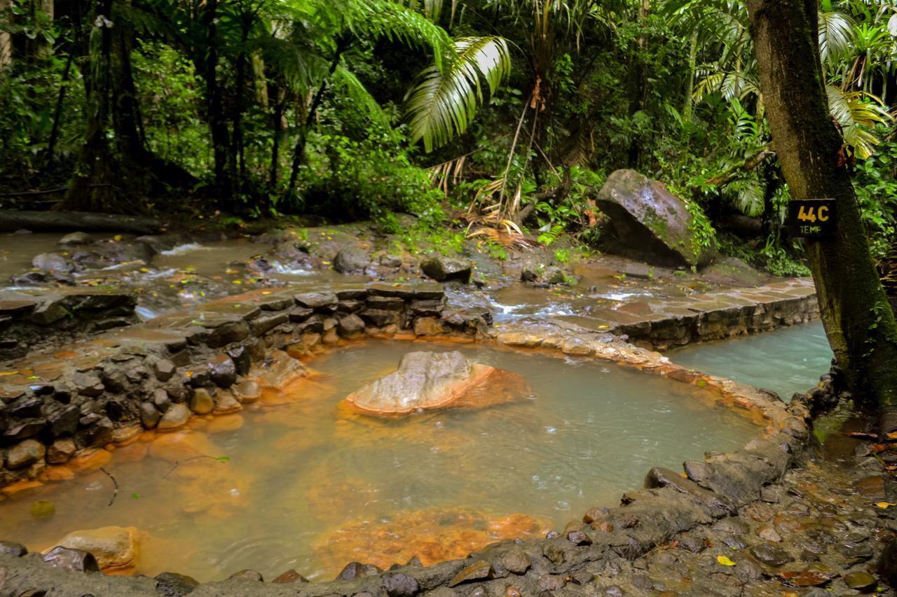 Termales Del Bosque & Hot Springs Hotel