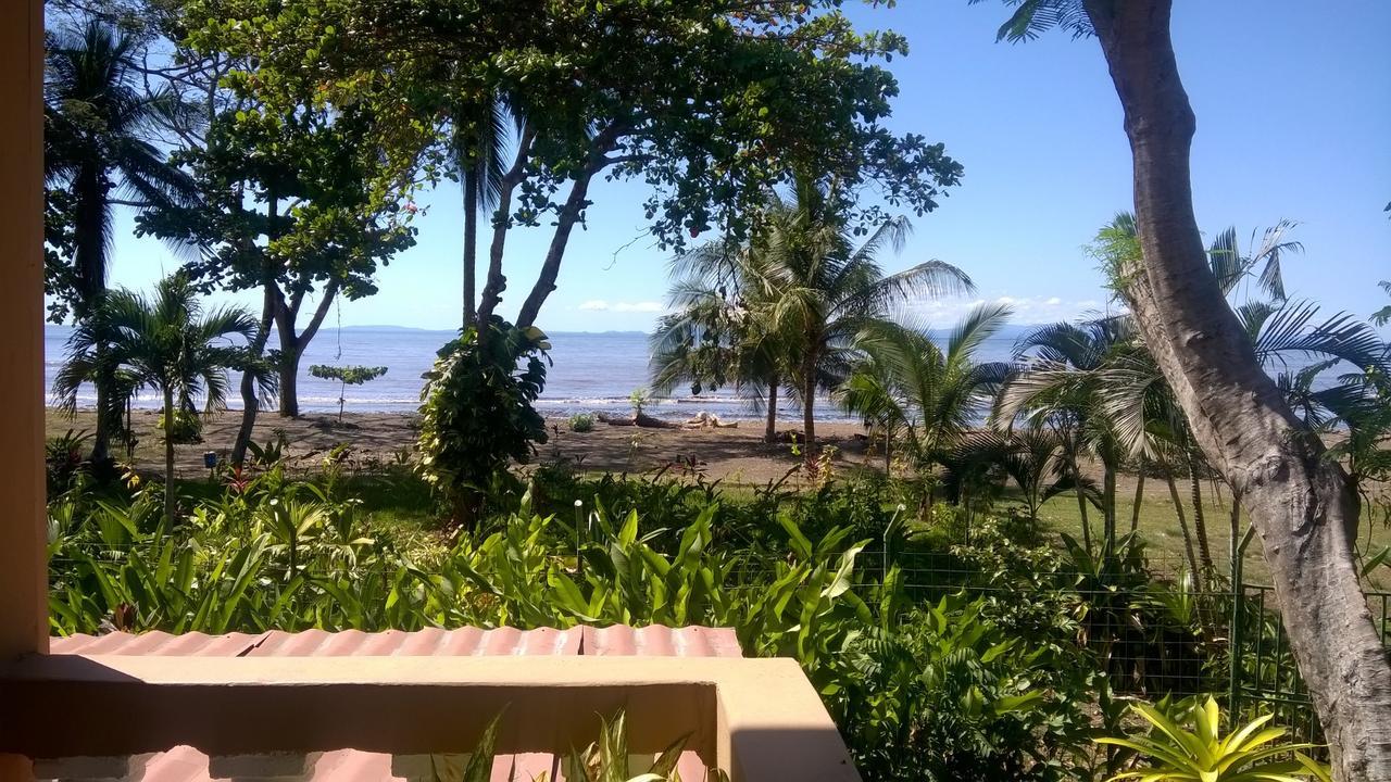 Carara 4*