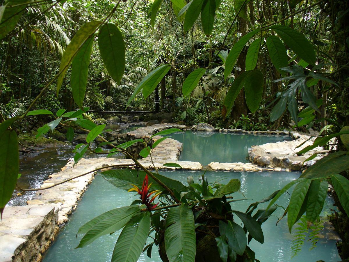 Termales Del Bosque & Hot Springs Hotel