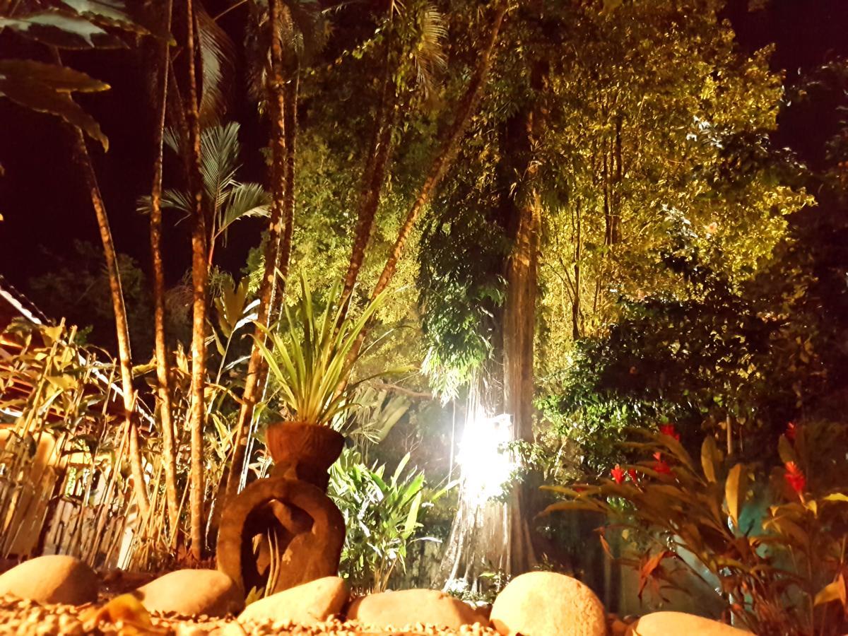 Morpheus Exotica