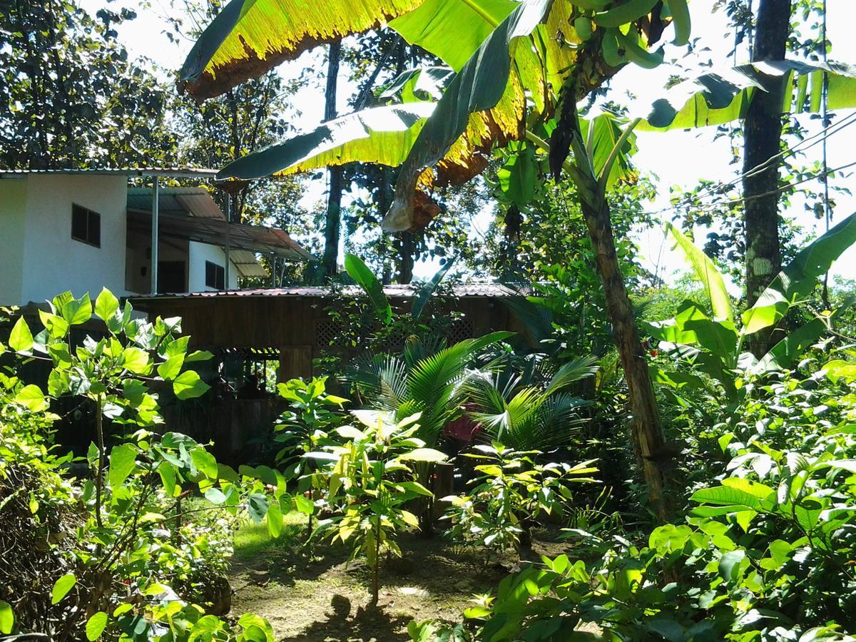 Osa De Rio Guest house