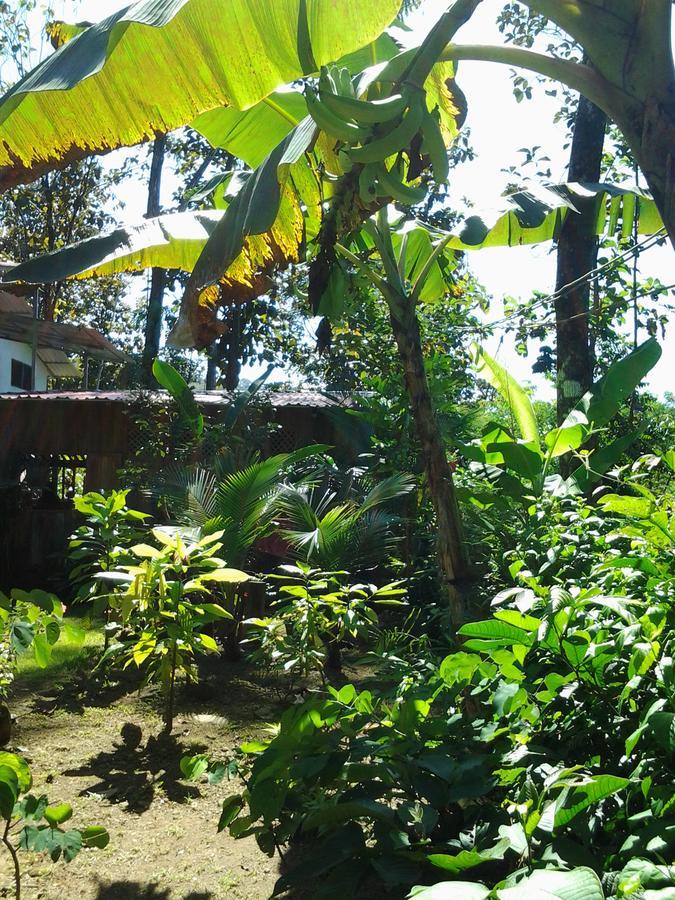 Osa De Rio Guest house Uvita