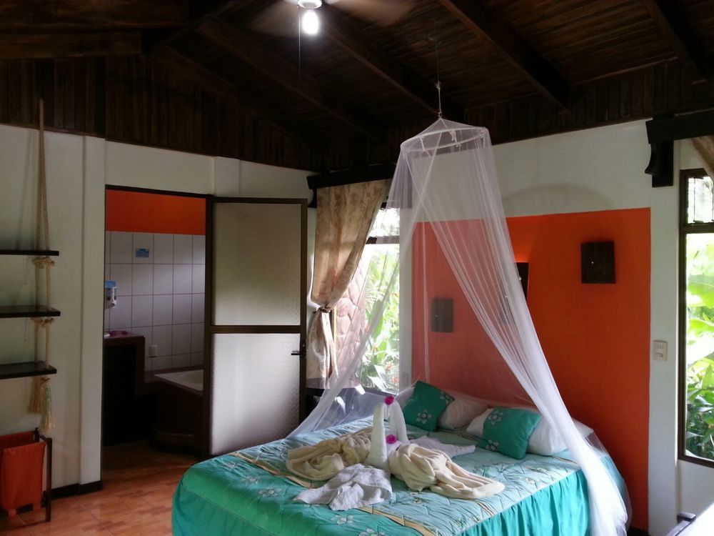 Hotel Catarata Rio Celeste 3*