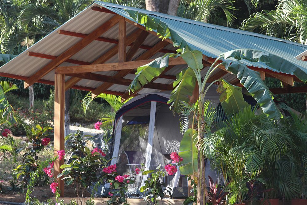 Jungle's Edge Hotel