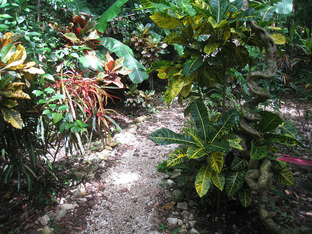 Retreat Nosara