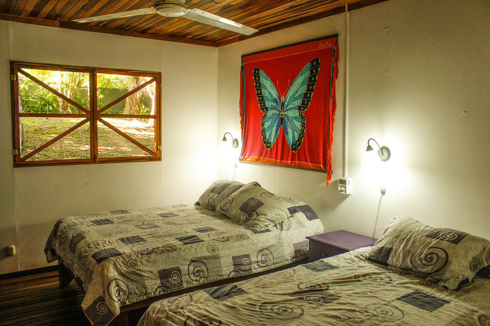 Casa Colores Montezuma