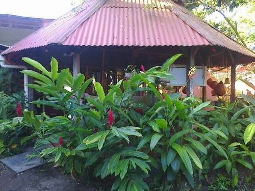 La Casona De 2* Tortuguero