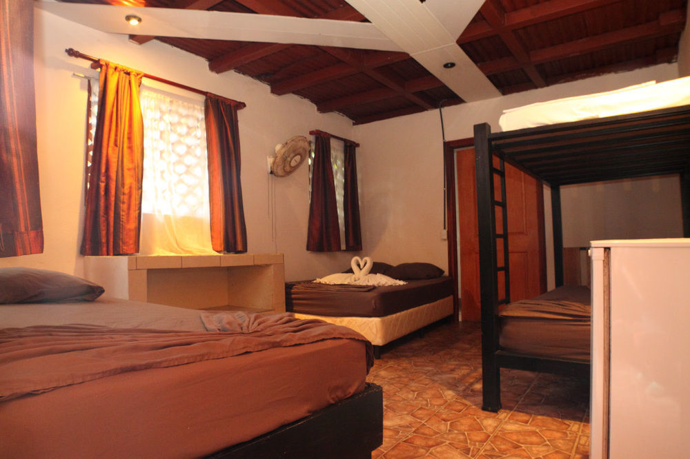 La Casona De 2* Tortuguero