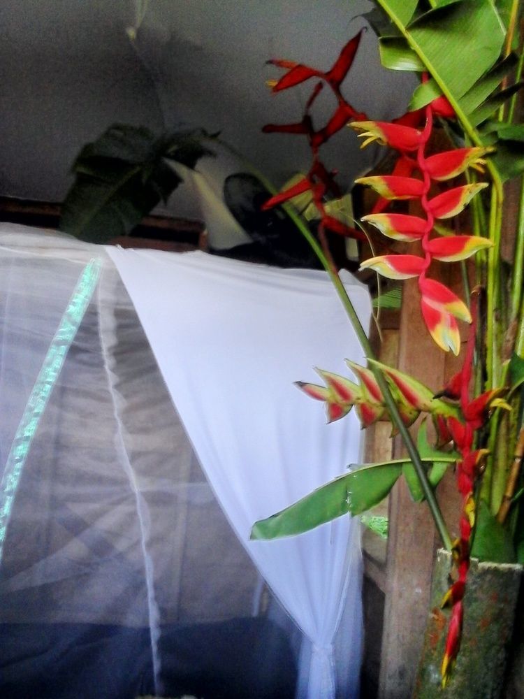 Hostel Blue Butterfly