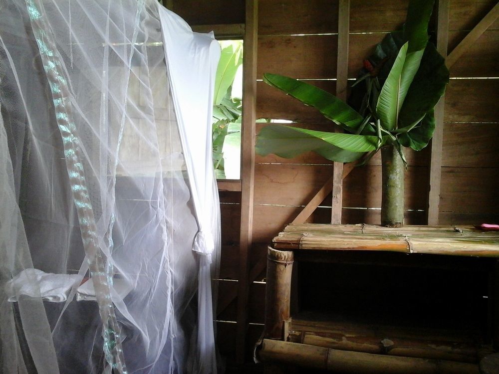 Hostel Blue Butterfly *