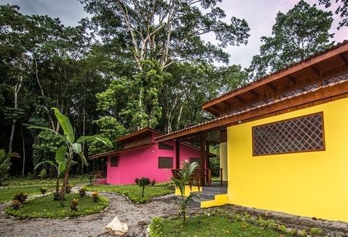 Pina Dorada Dependencia Del Casa Merlin Puerto Viejo de Talamanca