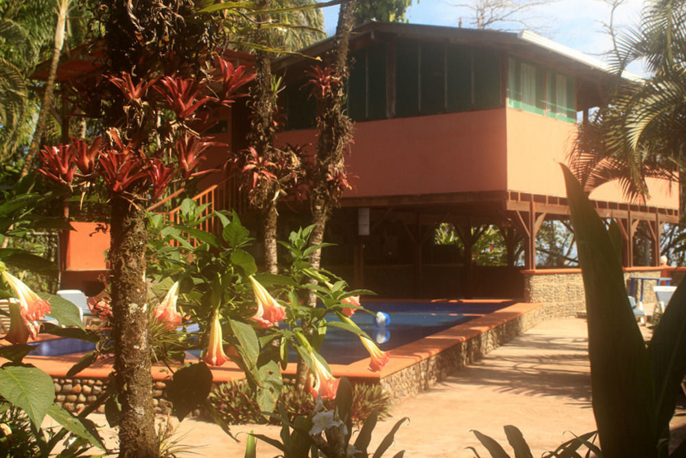 Perla Negra Beach Front Puerto Viejo de Talamanca