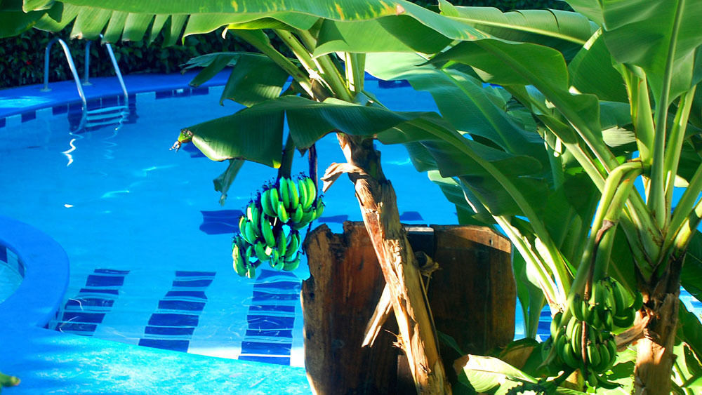 South - Beachfront Jaco