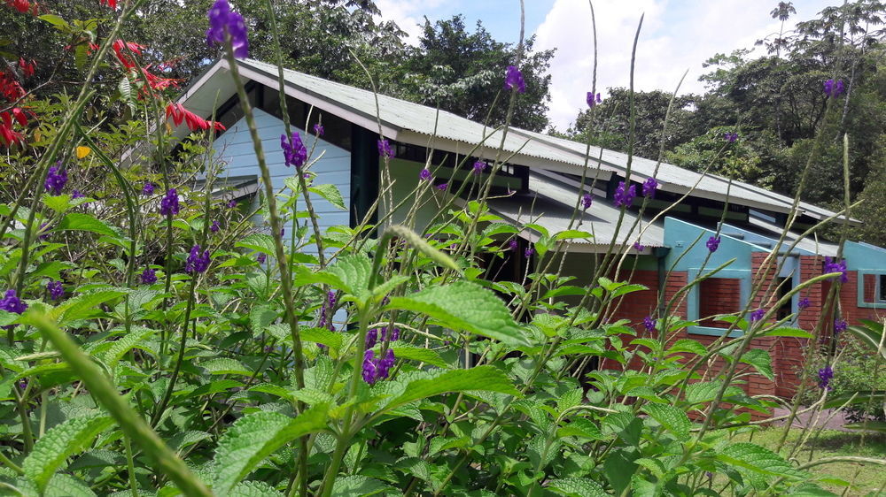 Hotel La Selva Biological Station