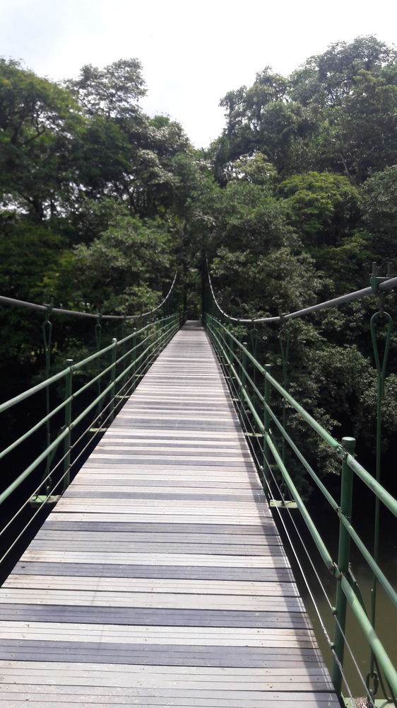 Hotel La Selva Biological Station 2*