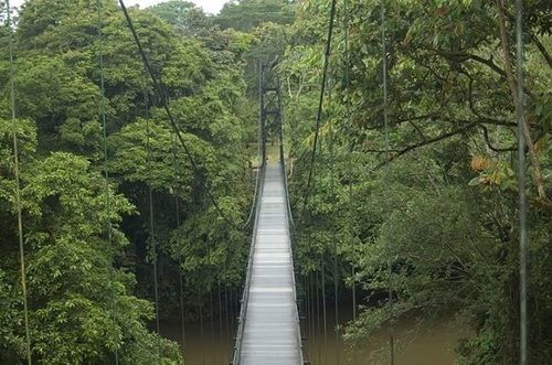 Hotel La Selva Biological Station