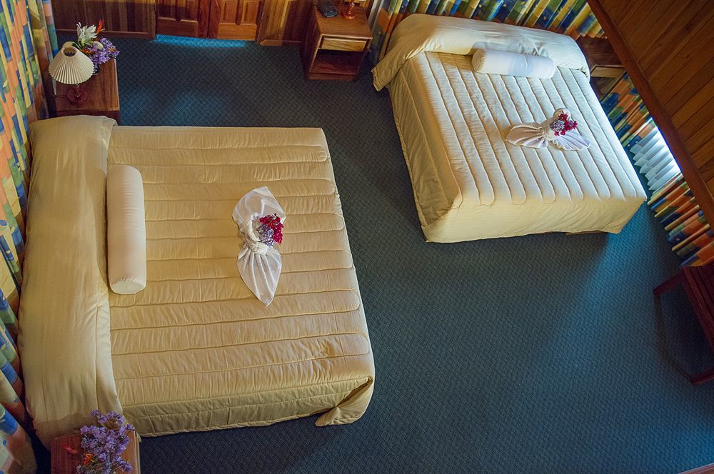 Heliconia - Hotel