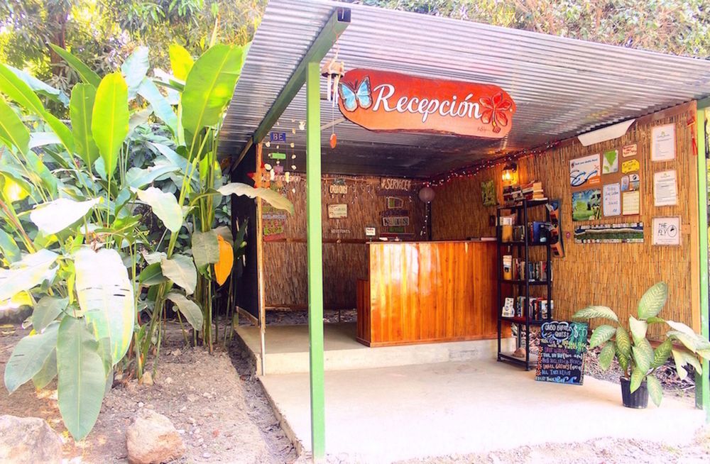 Believe Surf & Yoga Santa Teresa