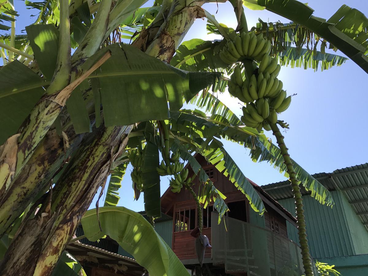 La Teca Lodge