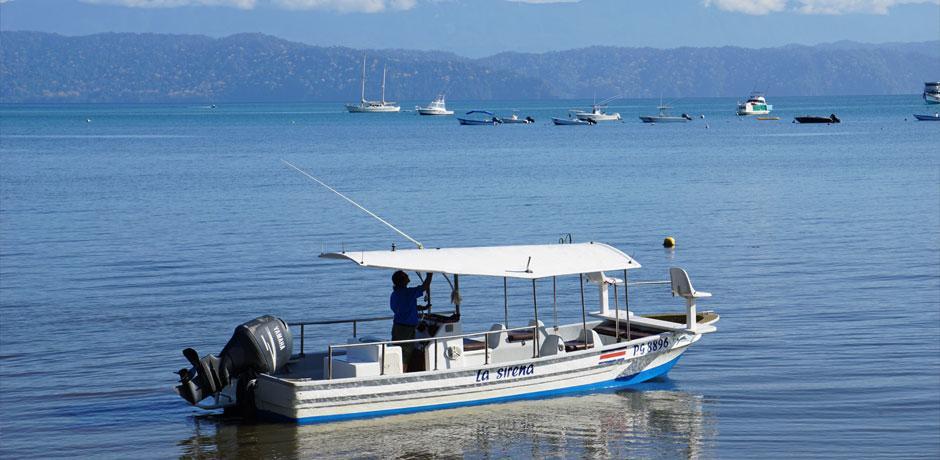 Cabinas Jimenez Puerto Jimenez