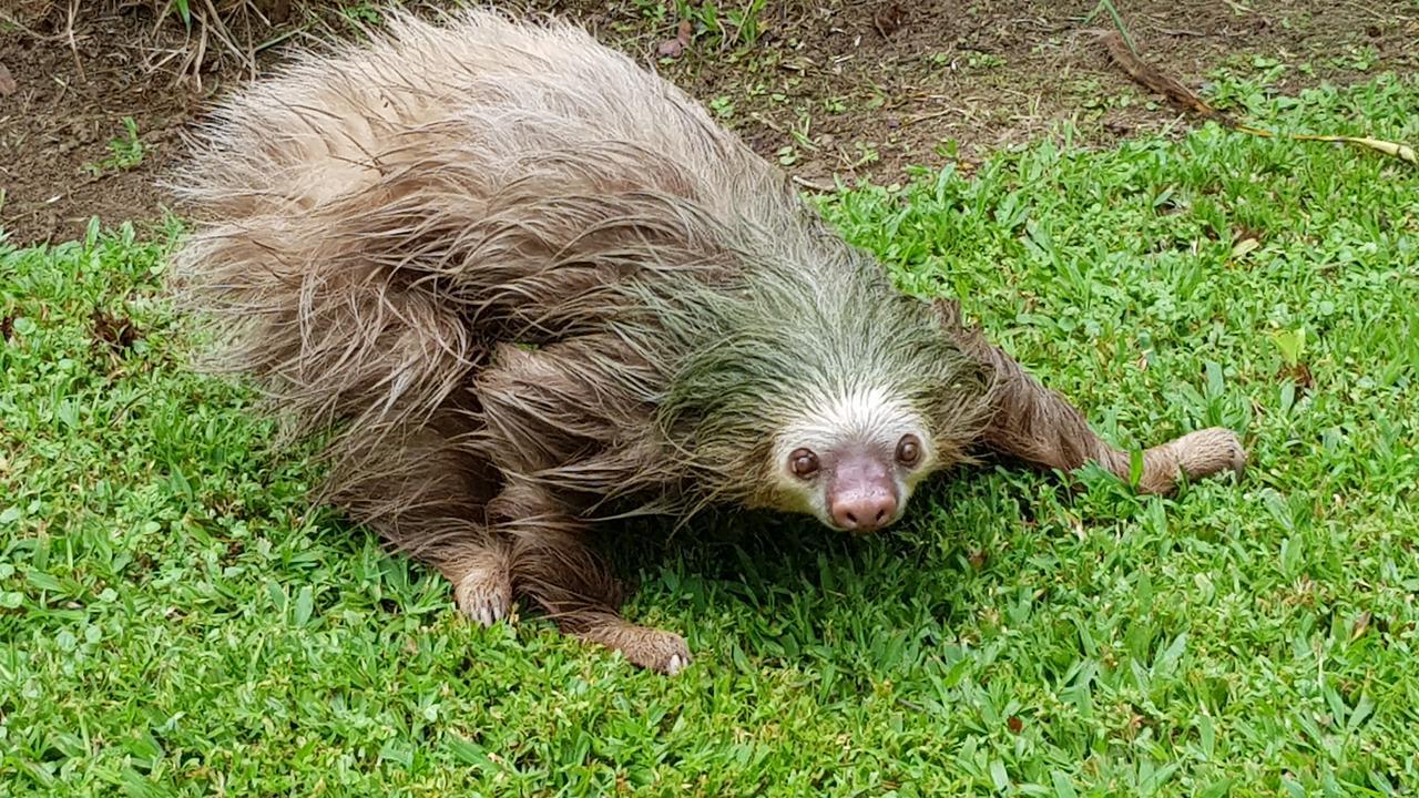Ciudad Perdida 3*