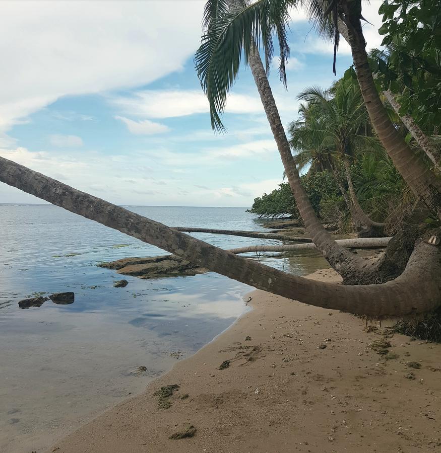 Ciudad Perdida 3* Cahuita