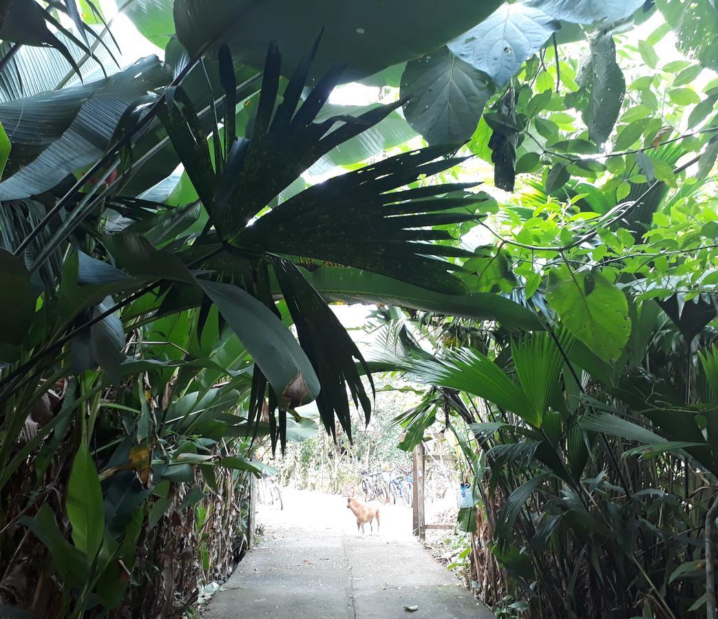 Blue Butterfly Hostel