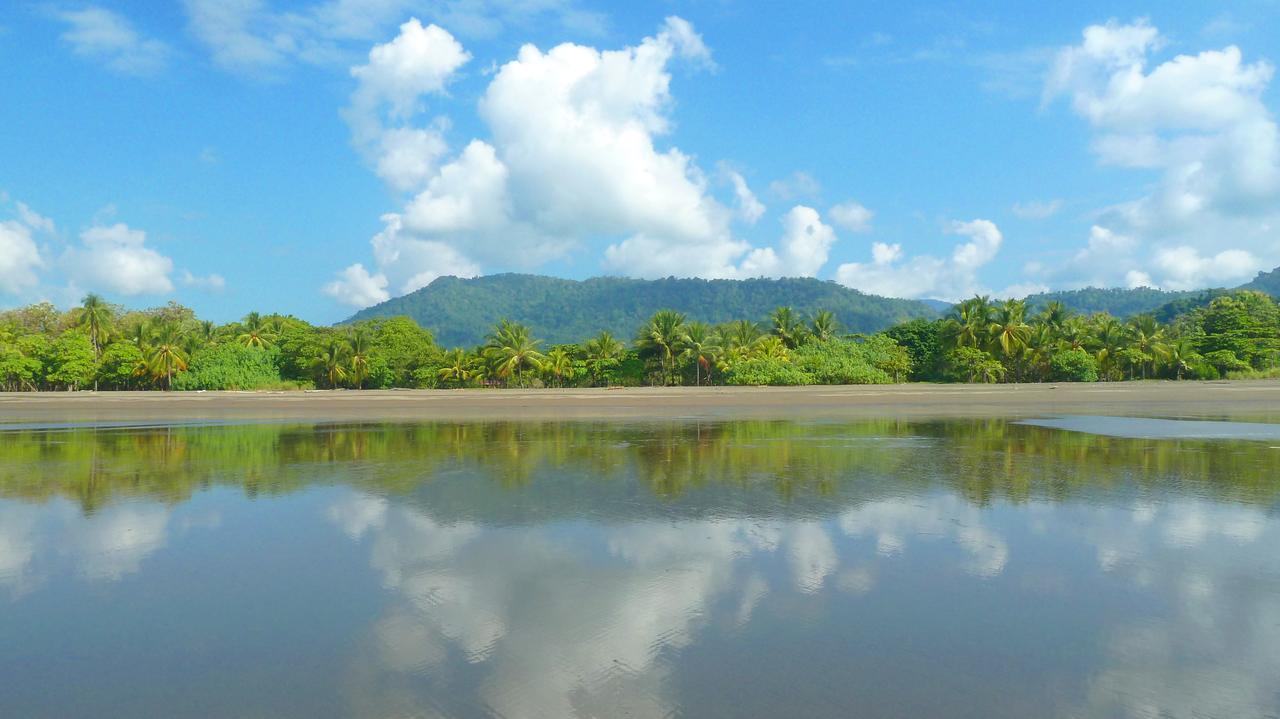 Bed & Breakfast Jardin De Monos Matapalo (Puntarenas)