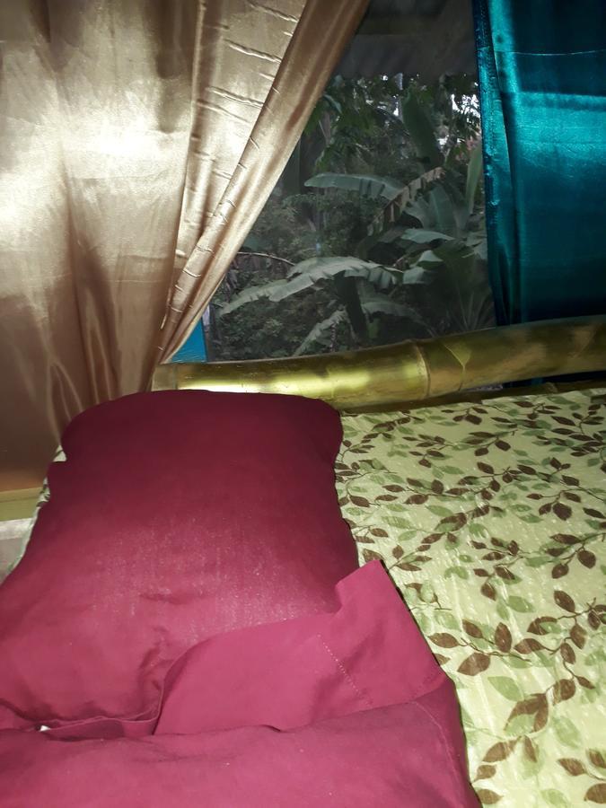 Hostel Blue Butterfly *