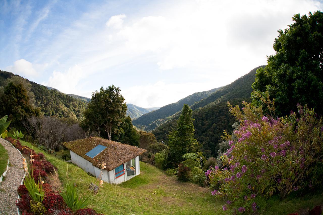 Bed & Breakfast Dantica Cloud Forest 4*