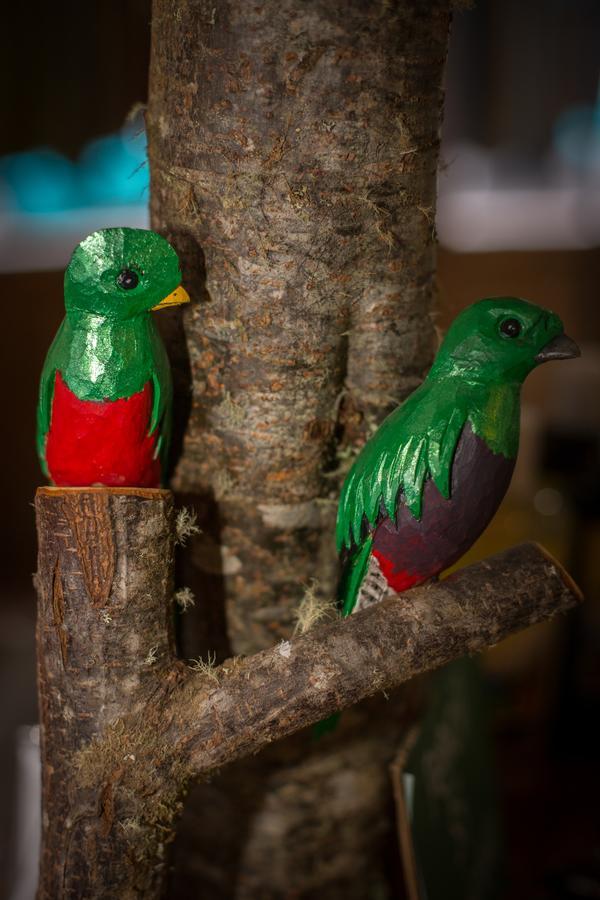 Paraiso Quetzal Lodge Tres de Junio