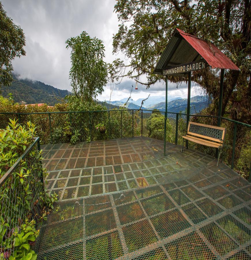 Paraiso Quetzal *