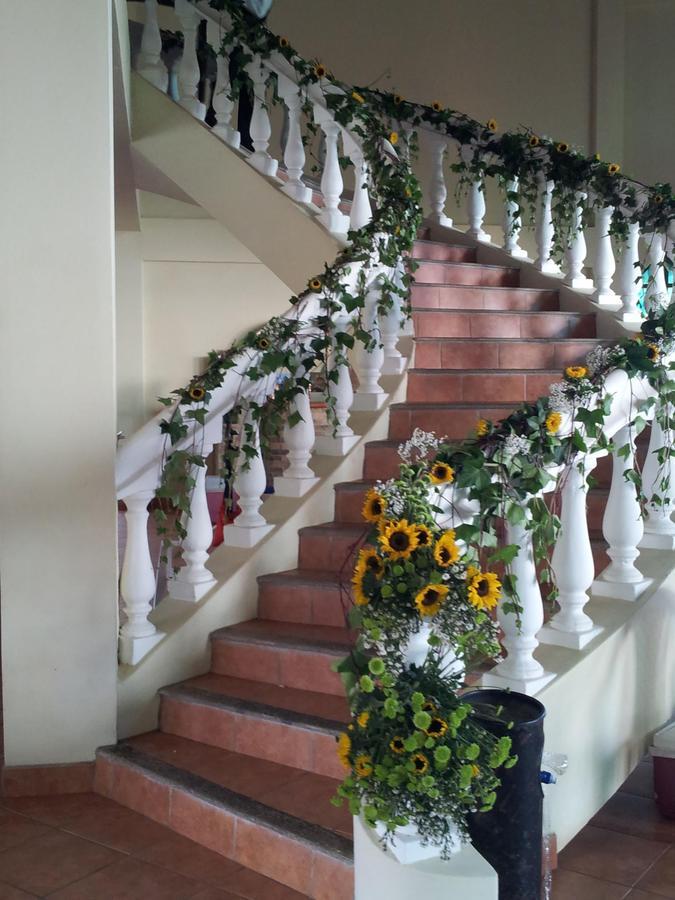 Hotel Delfin Playa Bejuco