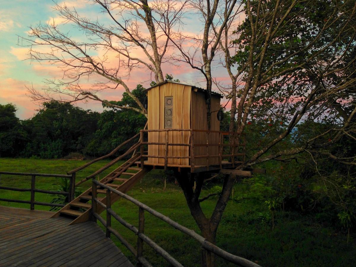 Lodge Blue Zone Retreat