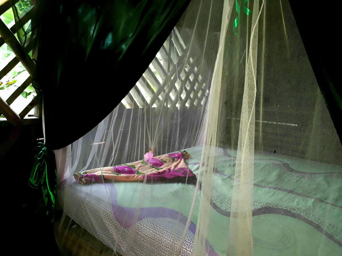 Blue Butterfly Hostel *