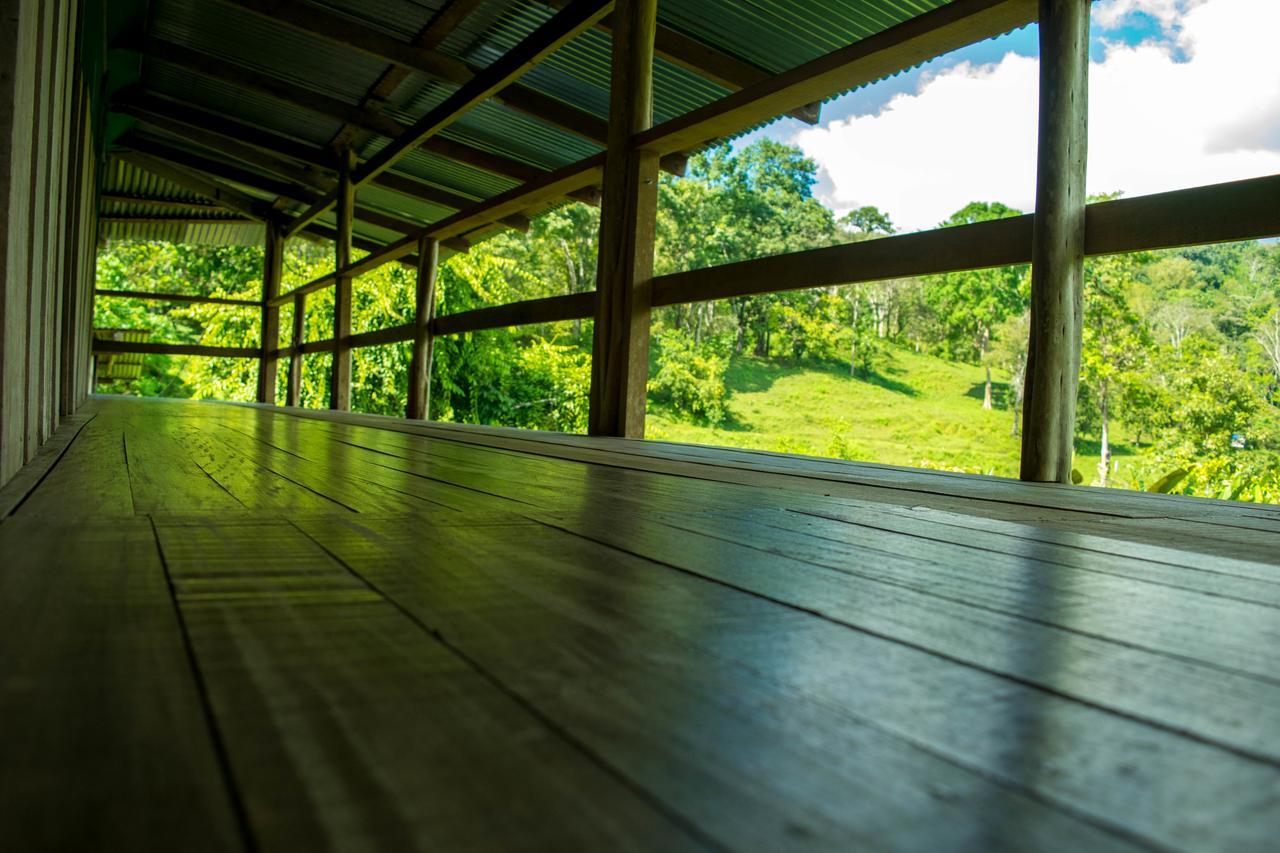 Country house La Laguna Puerto Jimenez