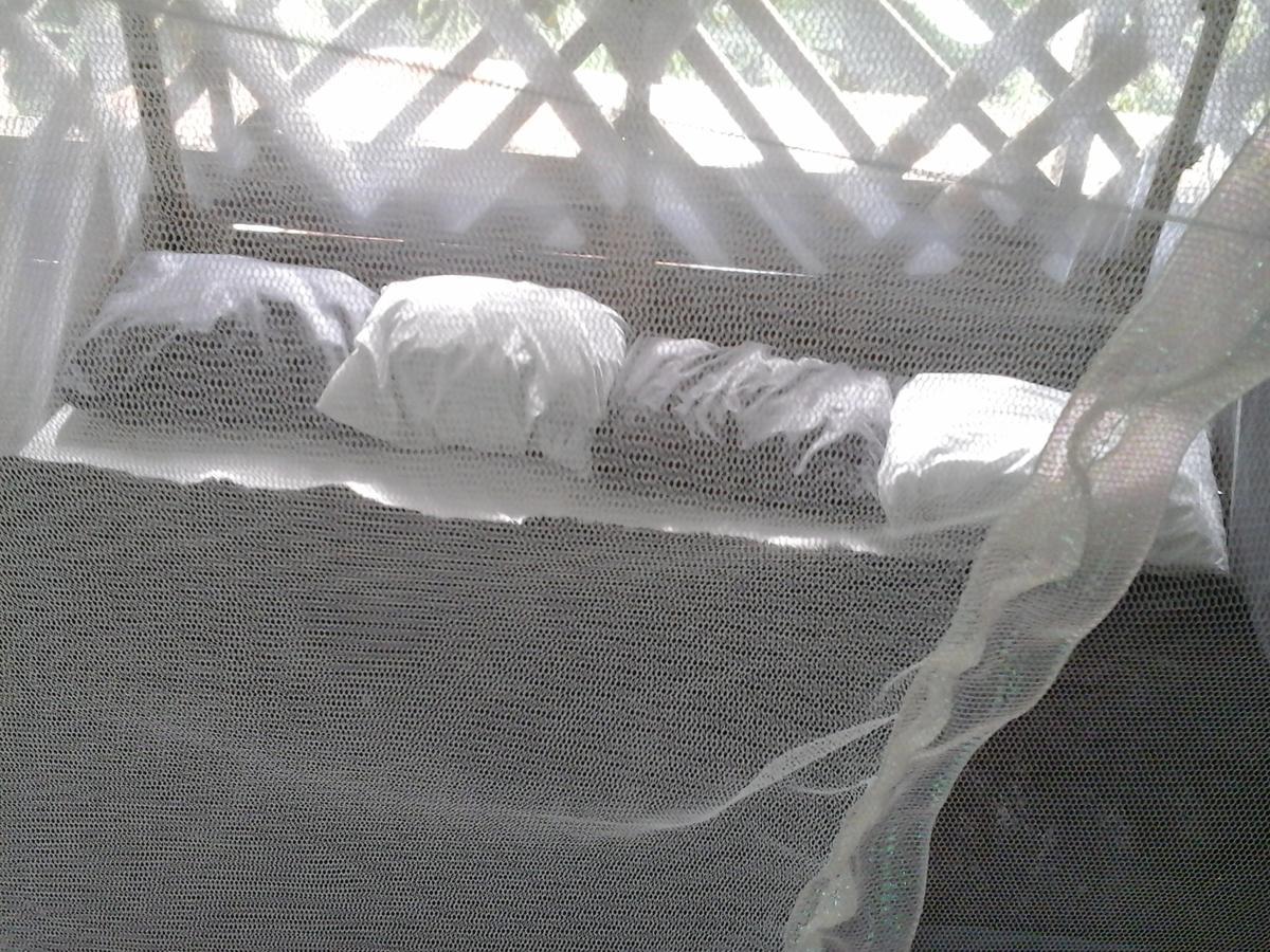Hostel Blue Butterfly *