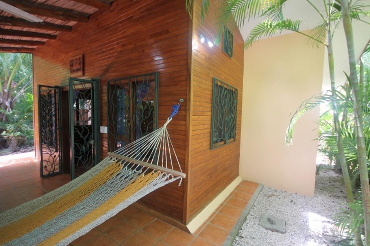 Paradise Nosara