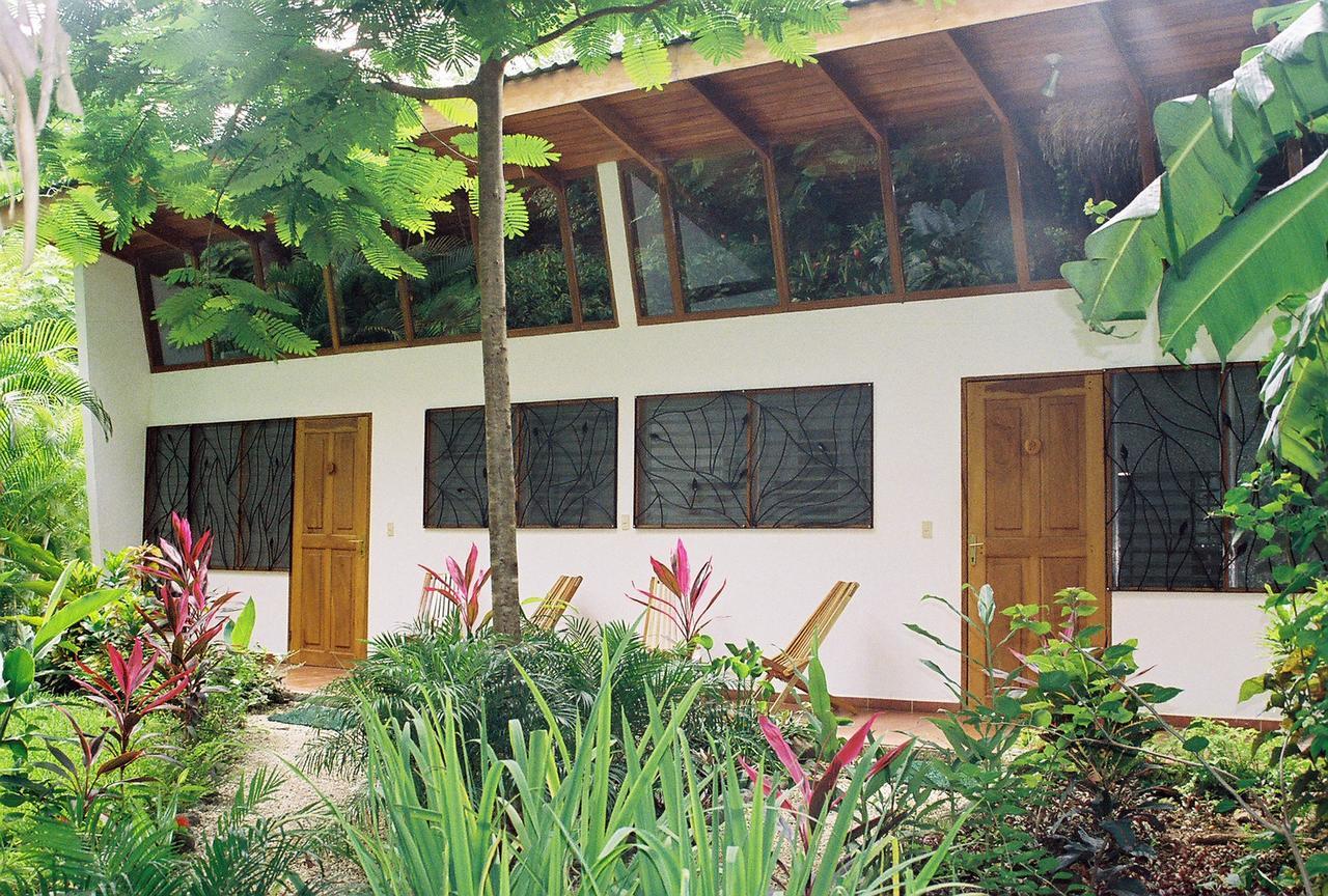 Paradise Nosara