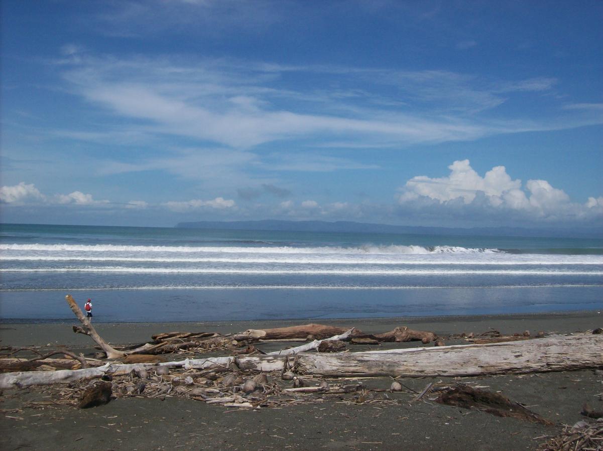 Forest Uvita
