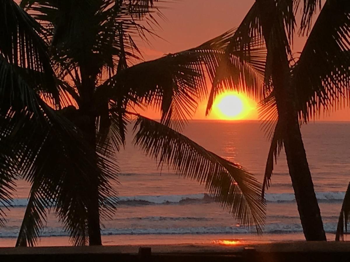 Hotel Gallina E Palo Beachfront Jaco