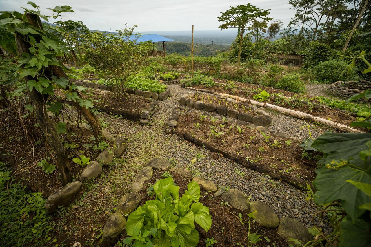 La Tigra Rainforest
