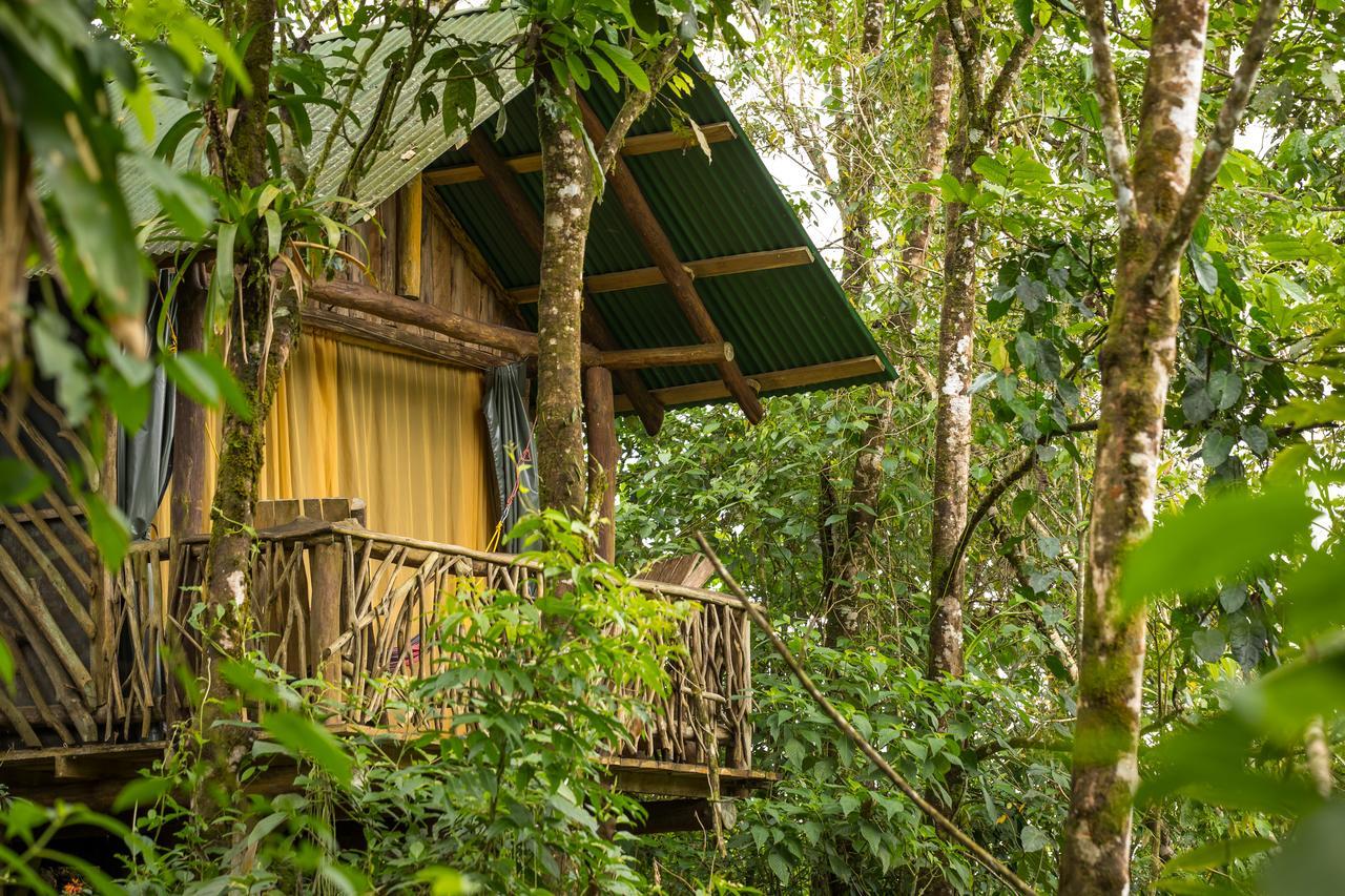 La Tigra Rainforest