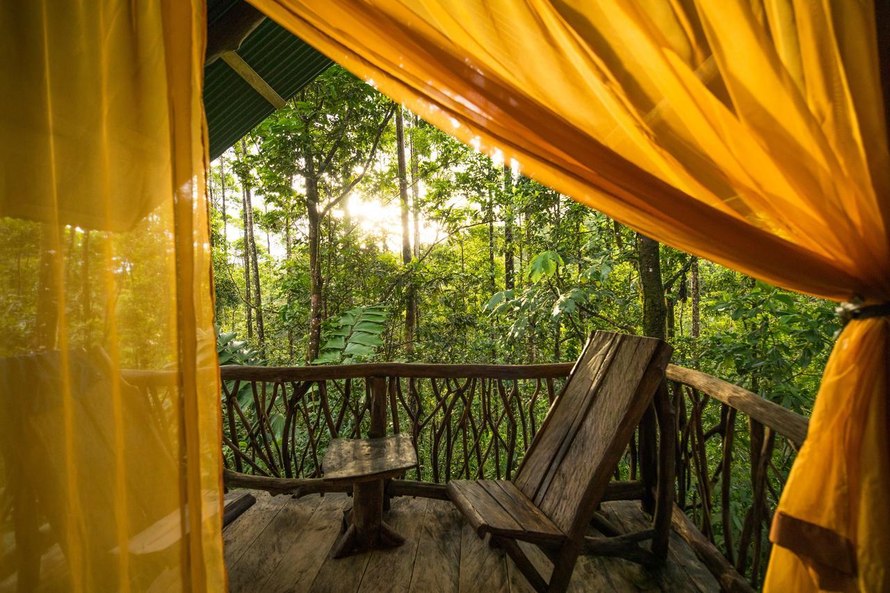 Lodge La Tigra Rainforest