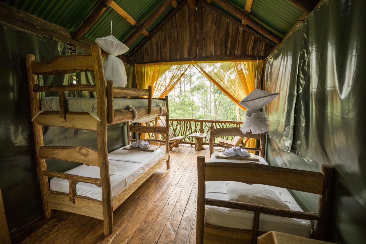 Lodge La Tigra Rainforest *